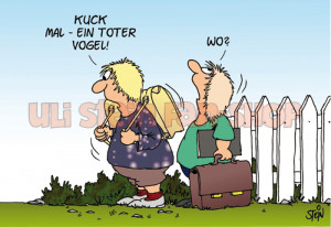 Postkarte Kuck mal ein toter Vogel